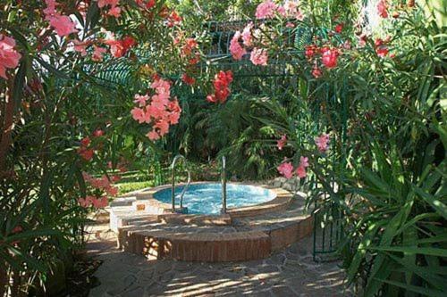 Hotel Barracuda 4*